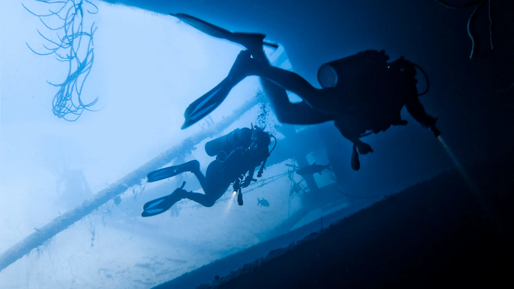 Scuba diver over a reef
