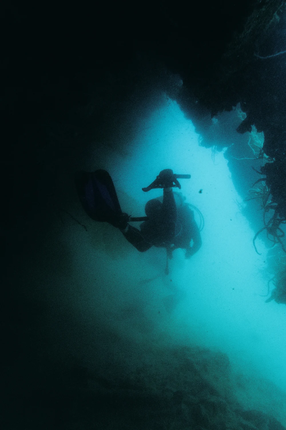 Scuba Diving travel inspiration